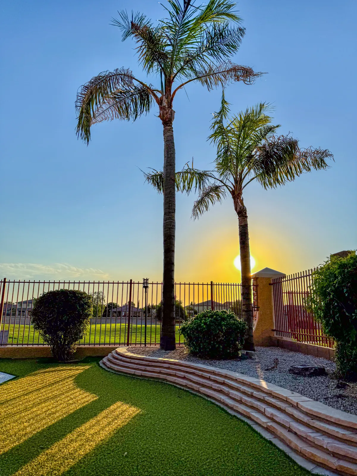 A landscaped exterior yard dotted with palm trees and bordered by a fence, with a tranquil sunset in the background. The open green space is ideal for relaxing, socializing, or hosting outdoor events during mild seasons.
